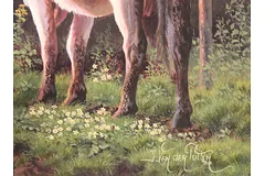 Signature image, click to enlarge