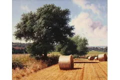 No frame image, click to enlarge