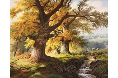 No frame image, click to enlarge