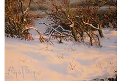 Signature image, click to enlarge