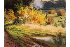 Signature image, click to enlarge