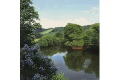 No frame image, click to enlarge