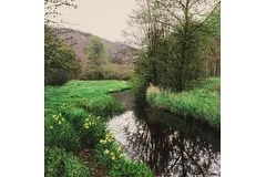 No frame image, click to enlarge