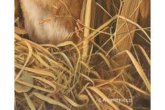 Signature image, click to enlarge