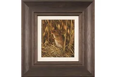 Large image, click to enlarge