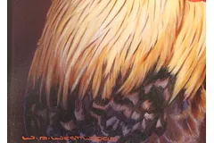 Signature image, click to enlarge