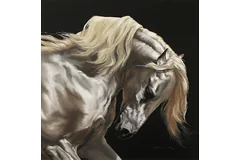 No frame image, click to enlarge