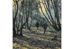 No frame image, click to enlarge
