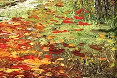 Signature image, click to enlarge