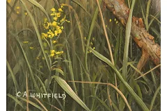 Signature image, click to enlarge