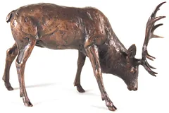 No frame image, click to enlarge