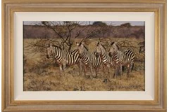 Large image, click to enlarge