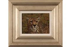 Large image, click to enlarge