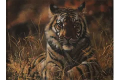 No frame image, click to enlarge
