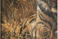 Signature image, click to enlarge