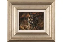 Large image, click to enlarge