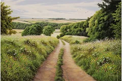 No frame image, click to enlarge