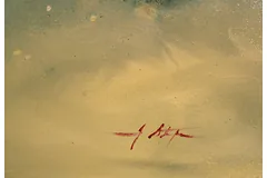 Signature image, click to enlarge