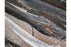Signature image, click to enlarge