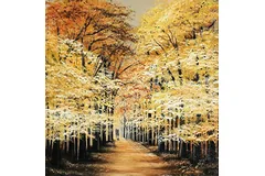 No frame image, click to enlarge