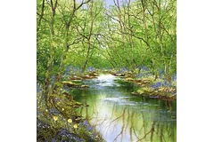 No frame image, click to enlarge
