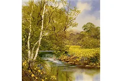 No frame image, click to enlarge