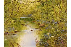 No frame image, click to enlarge