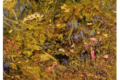 Signature image, click to enlarge