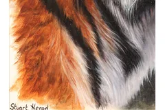 Signature image, click to enlarge