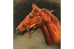 No frame image, click to enlarge