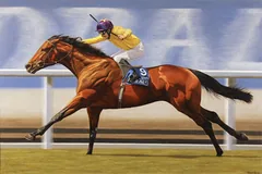 No frame image, click to enlarge