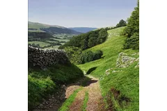 No frame image, click to enlarge