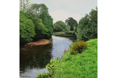 No frame image, click to enlarge