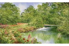 No frame image, click to enlarge