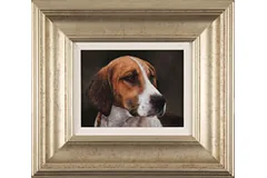 Large image, click to enlarge