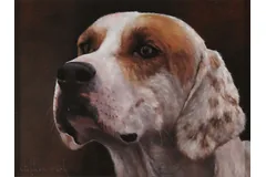 No frame image, click to enlarge