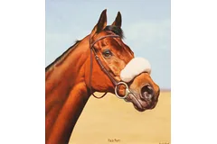 No frame image, click to enlarge