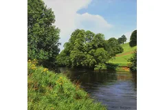 No frame image, click to enlarge