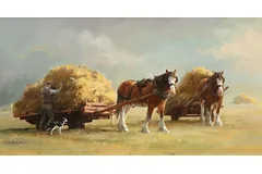No frame image, click to enlarge