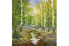 No frame image, click to enlarge