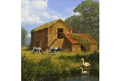 No frame image, click to enlarge