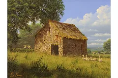 No frame image, click to enlarge