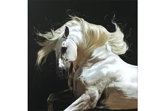 No frame image, click to enlarge