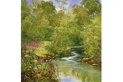 No frame image, click to enlarge