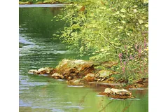 Signature image, click to enlarge