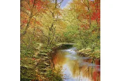 No frame image, click to enlarge