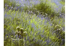 Signature image, click to enlarge