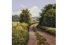 No frame image, click to enlarge