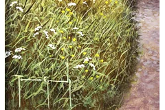 Signature image, click to enlarge