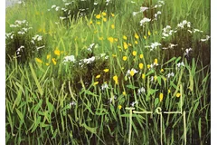 Signature image, click to enlarge